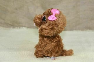 Ty Beanie Babies Boos Maddie Curly Haired Brown Puppy Dog 8 