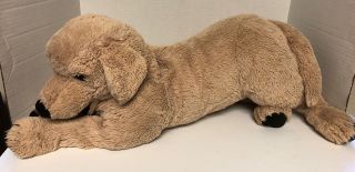 Large Ikea Gosig Golden Retriever 27 " Puppy Dog Big Plush Jumbo Stuffed Animal
