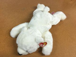 Ty Beanie Babies 1998 Chilly The Polar Bear 14 " Retired Rare Vintage Errors