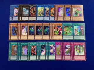Yu - Gi - Oh Mai Valentine Complete Harpie Lady Deck Oracle Conductor Queen Harpist