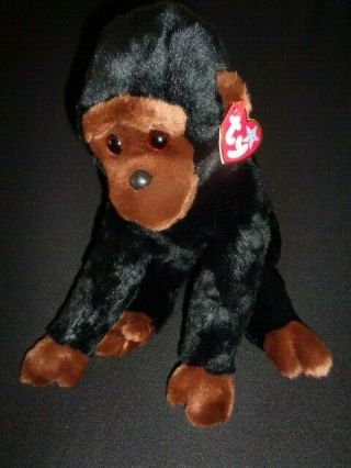 Ty Beanie Baby Buddy - Congo The Gorilla Monkey - - Large Plush - 1999 7