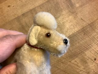 Sweet Vintage Miniature Steiff Jointed Poodle Dog Puppy 4 " W/ Id Darling