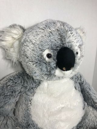 Toys R Us Koala Bear Plush 18 