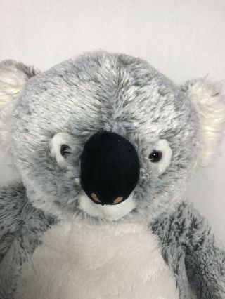 Toys R Us Koala Bear Plush 18 