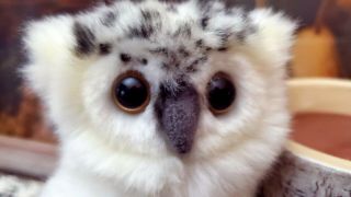 Hansa Creation Snowy Owl Plush White Lifelike Hand Crafted Head Moves Euc