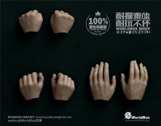 Worldbox 1/6 Scale Durable Male Body Handtypes 3 Pairs Hand Models F 12  Figure