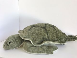 Pier 1 Imports 21” Green Sea Turtle Tortoise Giant Realistic Plush Stuffed