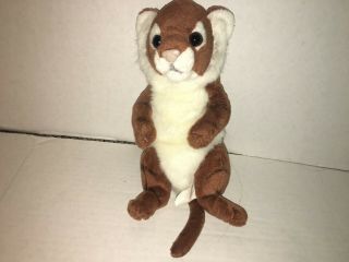 E&j Classic Tiger Lion Cub Plush Stuffed Animal Wild Cat Brown Beans Toy 10 "