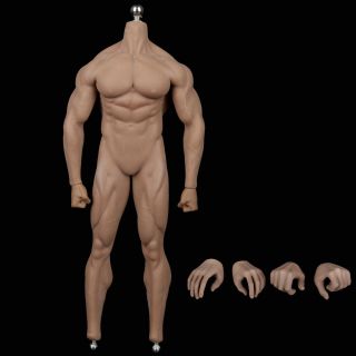 Tbleague Pl2019 - 144 1/6 Scale Alexander The Great 12 " Action Figure Muscle Body