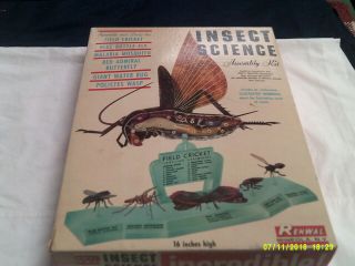 Renwal Insect Science Assembly Kit For The Field Cricket - Circa 1960