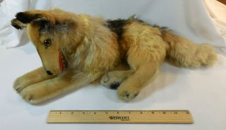 Vintage Large Steiff Collie Dog W Button & Tags Mohair 1950s 22 " Long