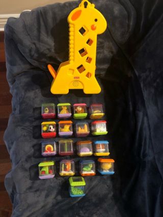 Fisher Price Musical Giraffe With 18 Peek A Boo Blocks.  Smoke & Pet Home