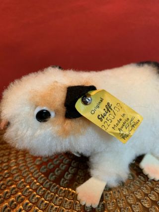 Vintage Steiff Guinea Pig “swinny” With Button And Tag