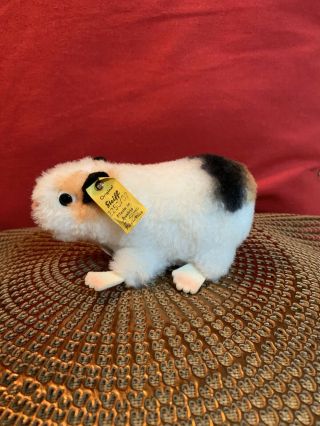 Vintage Steiff Guinea Pig “swinny” With Button And Tag 2
