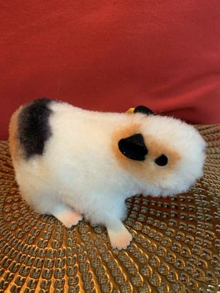 Vintage Steiff Guinea Pig “swinny” With Button And Tag 3