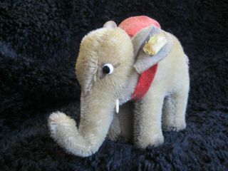 Rare 1950/78 German Steiff Elephant W.  Button & Tag