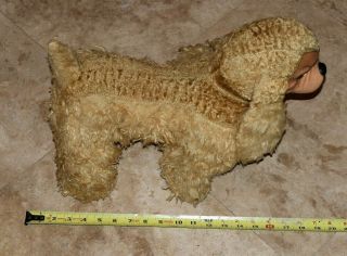 Rare Early 1900 ' s Stuffed RUBBER FACE DOG - PUPPY - - 18 Inches - 3