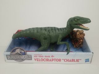 Jurassic Park World Velociraptor " Charlie " Dinosaur Figure