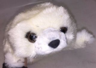 Yomiko No.  7784 - White Harp Seal Plush - By Russ - Extremely Sweet Face 5904