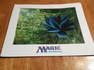 Magic The Gathering Chroma Cell 751/5000 Mtg Black Lotus Print Limited Edition