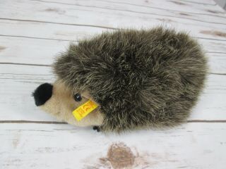 Steiff Joggi Hedgehog Plush Stuffed Animal 8 " 070556 Brown Made In Germany Flag