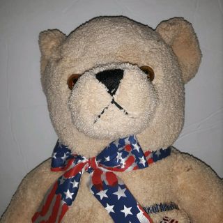 BANK of AMERICA TEDDY BEAR Plush Stuff Animal ADVERTISING Logo Toy 2