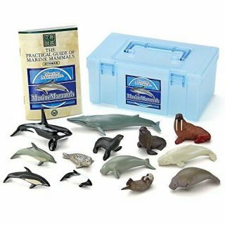 Colorata Marine Mammals Real Figure Box
