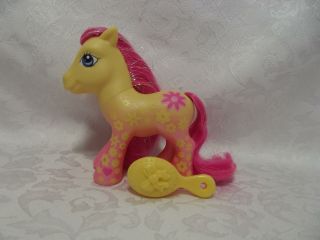 My Little Pony G3 Summer Bloom Pretty Pattern Yellow Earth Pony With Brush Euc