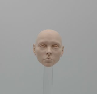 Debbie Harry Blondie - 1:6 Scale Custom Head Sculpt - Music Rock Singer Barbie