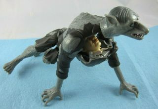 Harry Potter Transforming Action Figure,  Professor Remus Lupin To Werewolf,  8 "