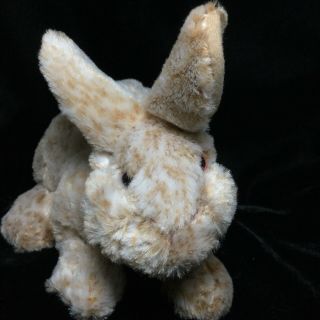 Kids Of America Tan White Bunny Rabbit Plush Soft Toy Stuffed Animal 10 " 2011