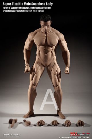 1/6 Tbleague Phicen Flexible Male Muscle Seamless Body W/steel Skeleton M35