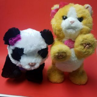 Furreal Friends Daisy Plays - With - Me Kitty And Panda Lote Of 2 Hasbro Toys