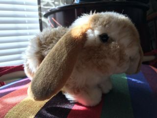Webkinz Retired Signature Lop Bunny By Ganz Plush Stuffed Animal Wks1025