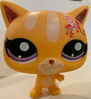 Lps Littlest Pet Shop Hasbro Jumbo Large 5 " Orange Cat Kitten Standing