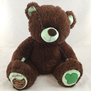 Build A Bear Girl Scout Thin Cookie Teddy Brown Green Plush Toy Babw 11 In