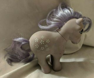 1982 My Little Pony Vintage Hasbro Mlp G1 Purple Blossom Flowers Rare