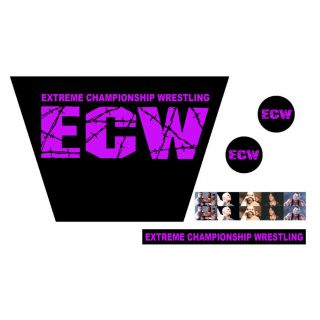 Wwf/wwe Mattel Retro Ecw Purple Logo Custom Ring Stickers/decals