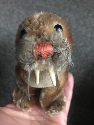 Steiff " Paddy " The Walrus Mohair Miniature 5 " No Id No Res