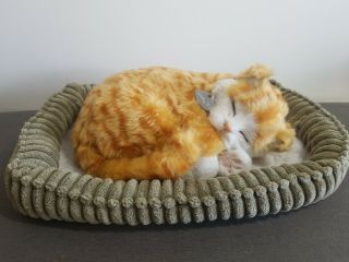Perfect Petzzz Orange Tabby Cat Kitten Breathing Sleeping Pet