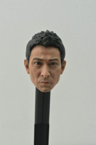 1/6 Scale Andy Lau Head Sculpt Lau Tak Wah I Want To Be You Fit 12 " Body Figure