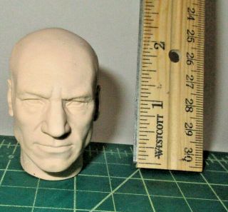 1/6 Star Trek Patrick Stewart Jean - Luc Picard Head Sculpt Phicen Hot Toy Usa