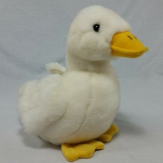 Aflac Duck Plush Mascot Stuffed Animal Plush Toy 10 " Talking White No Costume