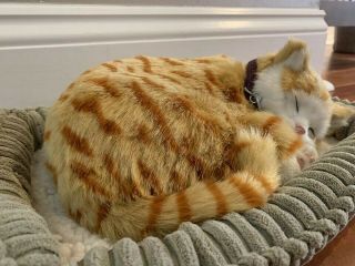 Perfect Petzzz Orange Tabby Cat Realistic 