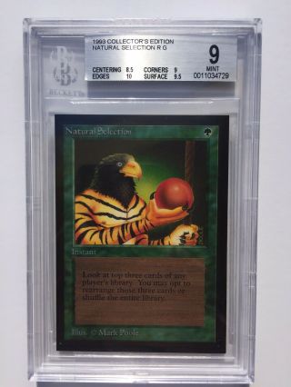 Bgs 9 | Natural Selection | Mtg Ce Collector 