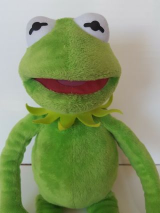 2009 Kermit The Frog 16 