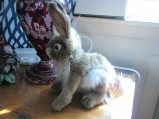 Hansa 9 Inch Rabbit Realistic Plush Animal