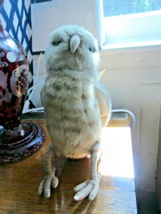 Hansa 10 Inch Owl Realistic Plush Animal
