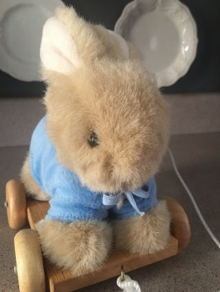 Euc Teleflora Beatrix Potter Peter Rabbit Plush Pull Along Toy Wooden Wheel 2002