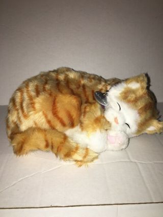 Perfect Petzzz Orange Tabby Cat Breathing Sleeping Kitten Soft Looks Real Toy L1